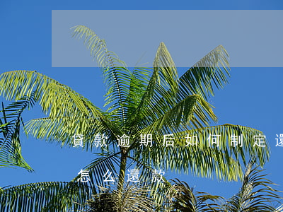 貸款逾期后如何制定還款計劃 貸款還款逾期怎么還款