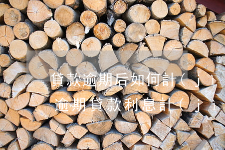 貸款逾期后如何計(jì)算復(fù)利(逾期貸款利息計(jì)算器)