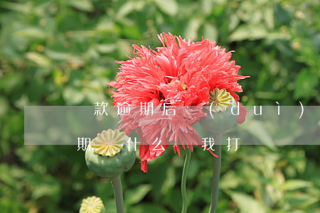 貸款逾期后對(duì)方罵人(別人貸款逾期為什么給我打電話)