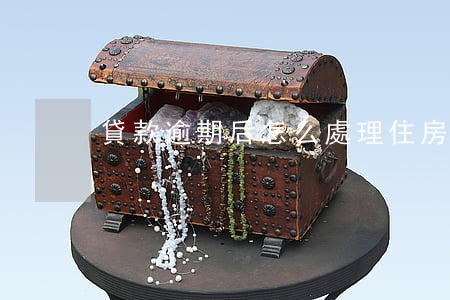 貸款逾期后怎么處理(住房貸款逾期怎么處理)