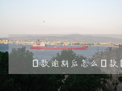 貸款逾期后怎么還款嗎(貸款逾期如何還款)