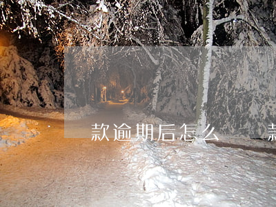 貸款逾期后怎么還貸款(貸款利息逾期了怎么還)
