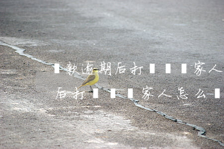 貸款逾期后打電話給家人怎么辦-貸款逾期后打電話給家人怎么辦理