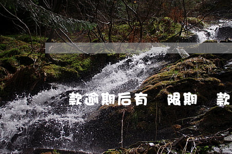 貸款逾期后有寬限期(貸款逾期寬限期多久)