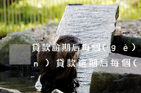 貸款逾期后每個(gè)月還一點(diǎn)(貸款逾期后每個(gè)月還一點(diǎn)點(diǎn))