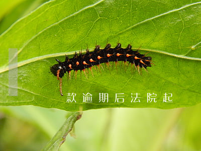 貸款逾期后法院起訴（貸款逾期后法院起訴）