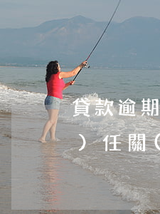 貸款逾期后產(chǎn)生法律責(zé)任(關(guān)于貸款逾期的刑法條款)