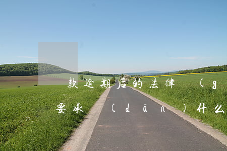 貸款逾期后的法律規(guī)定(貸款逾期要承擔(dān)什么責(zé)任)