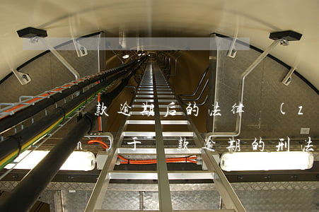 貸款逾期后的法律責(zé)任(關(guān)于貸款逾期的刑法條款)