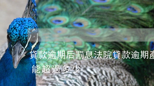 貸款逾期后罰息法院(貸款逾期產生的罰息不能超過多少)