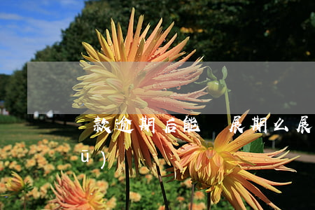 貸款逾期后能夠展期么(展期和逾期的區(qū)別)