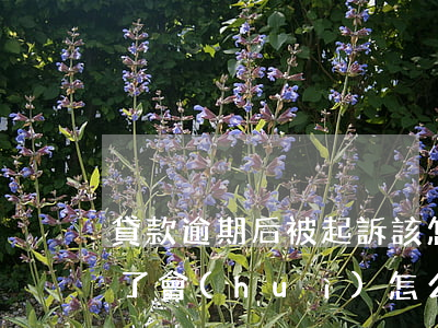 貸款逾期后被起訴該怎么辦(貸款逾期被起訴了會(huì)怎么樣)
