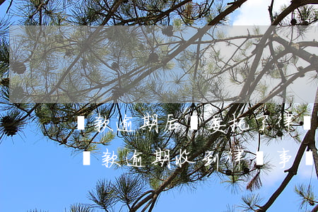貸款逾期后說委托了律師調(diào)查(貸款逾期 收到律師事務(wù)所的信息是真的嗎)