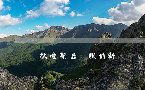 貸款逾期后辦理借新還舊