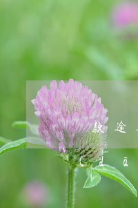 貸款逾期后追加擔(dān)保(貸款逾期擔(dān)保人信用受影響嗎?)