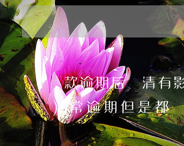 貸款逾期后還清有影響嗎(貸款經(jīng)常逾期但是都還了會有什么影響)