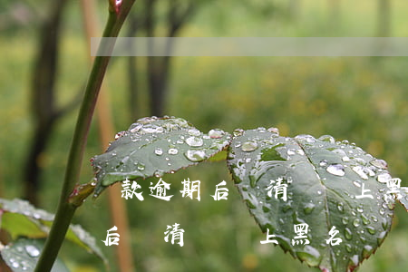貸款逾期后還清還會上黑名單嗎-貸款逾期后還清還會上黑名單嗎知乎