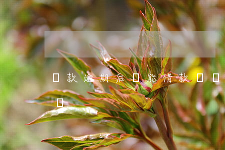 貸款逾期后還能借款嗎(貸款逾期后還能借款嗎)