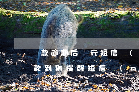 貸款逾期后銀行短信內(nèi)容(銀行貸款到期提醒短信內(nèi)容)