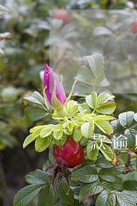 貸款逾期和不還怎么辦(逾期貸不了款怎么辦)