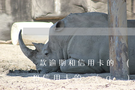 貸款逾期和信用卡的區(qū)別(貸款逾期和信用卡的區(qū)別)