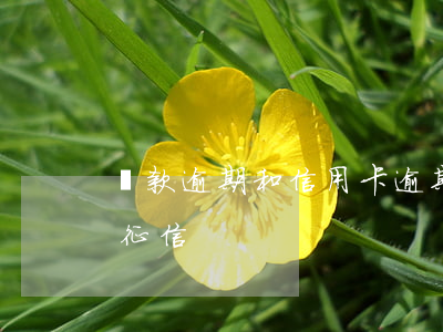 貸款逾期和信用卡逾期（信用卡和貸款逾期過征信）