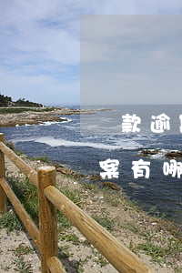 貸款逾期和信用卡逾期（信用卡逾期后解決方案有哪些）