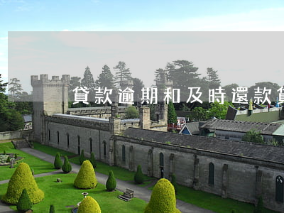 貸款逾期和及時還款(貸款逾期還款合理理由)