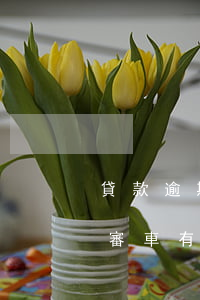 貸款逾期和審車有聯(lián)系嗎(逾期審車有什么后果)