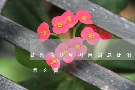 貸款逾期和挪用罰息比例(銀行貸款逾期罰息怎么算)