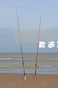 貸款逾期和本金一起還(房貸還款逾期)