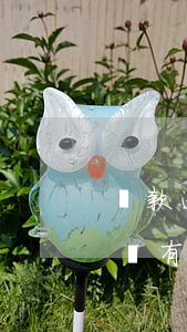 貸款逾期和黑名單的區(qū)別(貸款黑名單有什么影響)