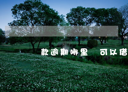 貸款逾期哪里還可以借(貸款逾期還能貸款嗎?)