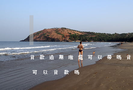 貸款逾期啦還可以帶嗎(貸款逾期還了以后還可以貸款嗎)