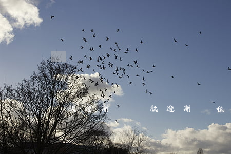 貸款逾期單，貸款逾期單位開除有賠償嗎