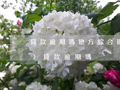 貸款逾期嗎，地方綜合辦負(fù)責(zé)貸款逾期嗎