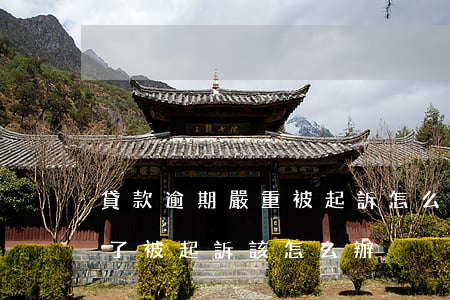 貸款逾期嚴重被起訴怎么辦-房子貸款逾期了被起訴該怎么辦