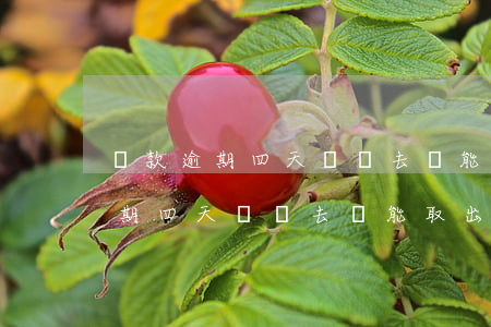 貸款逾期四天還進去還能取出來嗎-貸款逾期四天還進去還能取出來嗎安全嗎