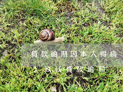 貸款逾期因本人得病(別人欠我錢導(dǎo)致我貸款逾期)