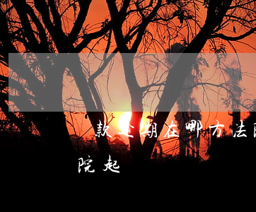 貸款逾期在哪方法院起訴(貸款逾期在哪方法院起訴)