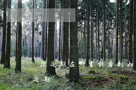 貸款逾期在哪里能看到(如何查看自己有沒有逾期)