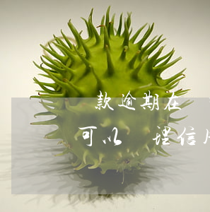 貸款逾期在廣州怎么辦理信用卡(貸款有逾期可以辦理信用卡嗎)
