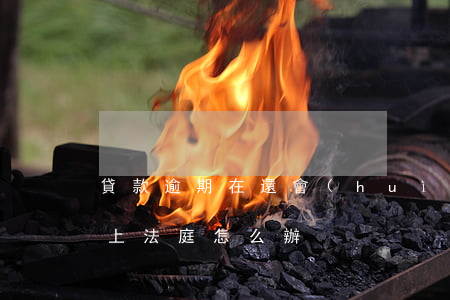 貸款逾期在還會(huì)上法庭(貸款逾期上法庭怎么辦)