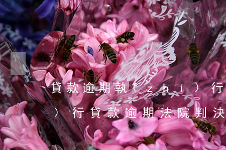 貸款逾期執(zhí)行和強制執(zhí)行(貸款逾期,法院判決后會立即強制執(zhí)行嗎?)