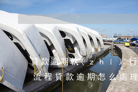 貸款逾期執(zhí)行房產(chǎn)流程(貸款逾期怎么處理)