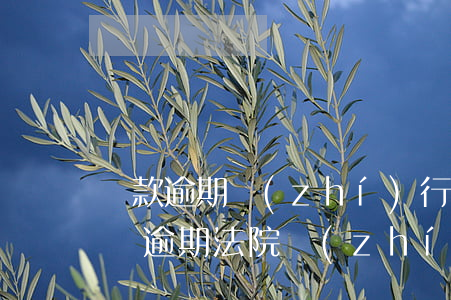 貸款逾期執(zhí)行通知書履行期限（房貸逾期法院執(zhí)行通知書）