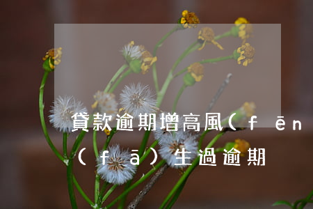 貸款逾期增高風(fēng)險提示(貸款發(fā)生過逾期)