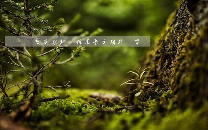 貸款逾期外訪（信用卡逾期外訪等）