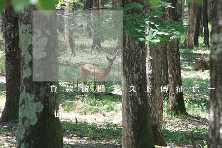 貸款逾期多久上傳征信(一般貸款逾期多久上征信)