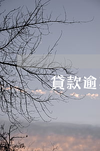 貸款逾期多久上報征信(逾期多少天上報征信)